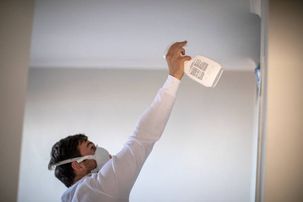 Best Professional Mold Removal  in Livonia, LA