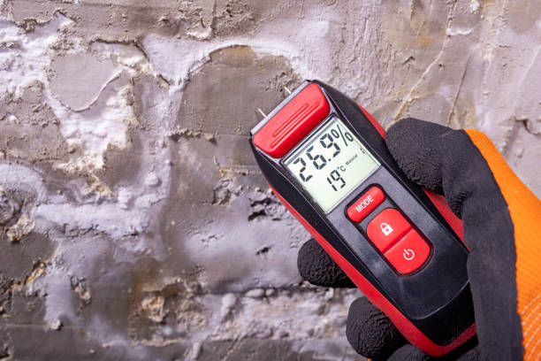 Livonia, LA Mold Removal Company