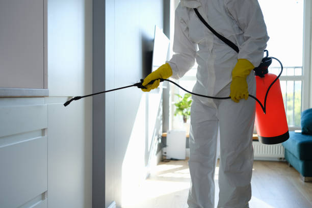 Best Office Mold Removal Services  in Livonia, LA